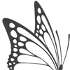 African Monarch