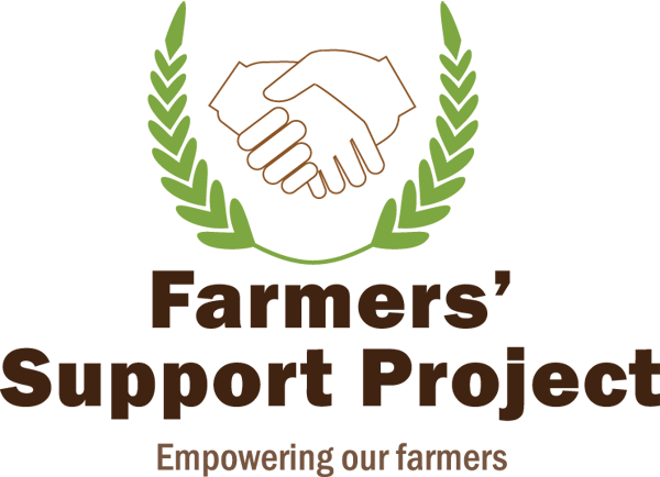 FSP