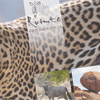 Ruimte Hunting Safaris flyer